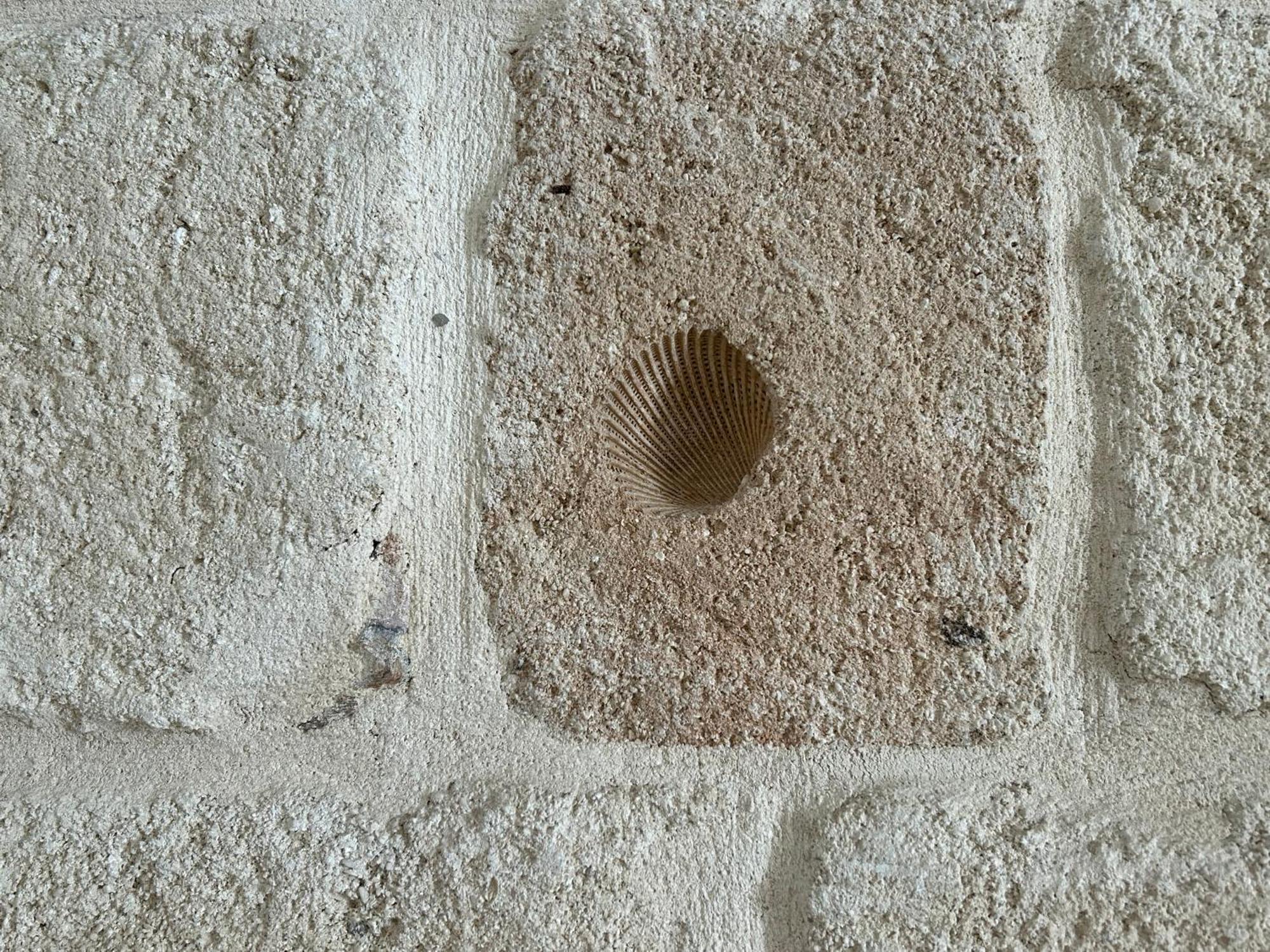 Apartamento Casa Rosaria Monopoli Exterior foto